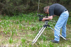 Natáčení Lesy Orlických hor